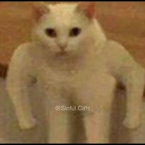 Meet your Posher, Éric